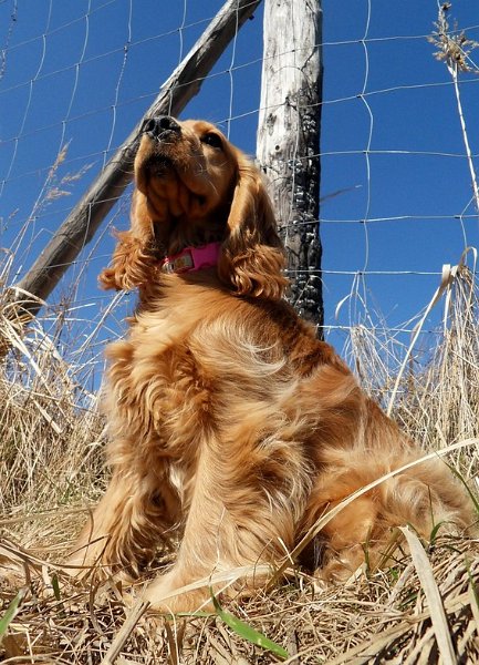 (22u) Anny-24.5.2010.JPG